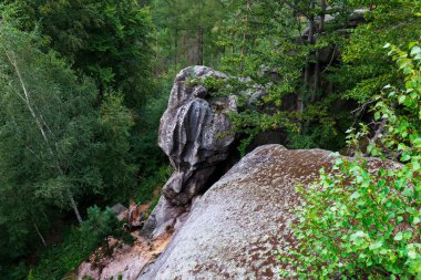 Rychlebske Dağları 'ndaki kır manzarası, Kuzey Moravya, Çek Cumhuriyeti