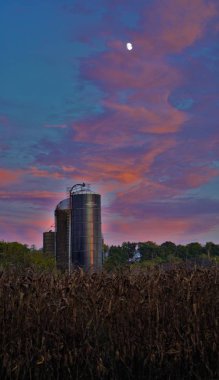 Arkasında renkli, canlı bir günbatımı olan mısır tarlası ve silo