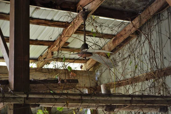 Rezavý Buněčný Ventilátor Opuštěné Stodole — Stock fotografie