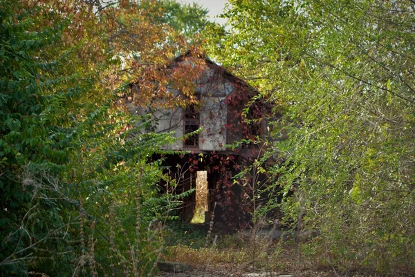 Stara Opuszczona Stodoła Środku Lasu — Zdjęcie stockowe