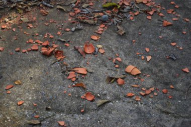 Yüzlerce parçaya ayrılmış seramik kap