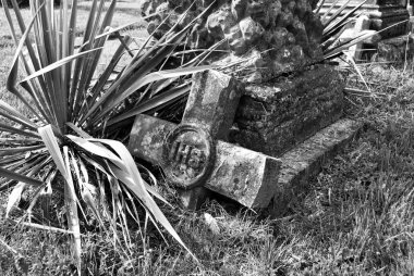 Mezarlıktaki kırık bir heykel ve mezar taşıyla kaplı çok eski bir yosun.