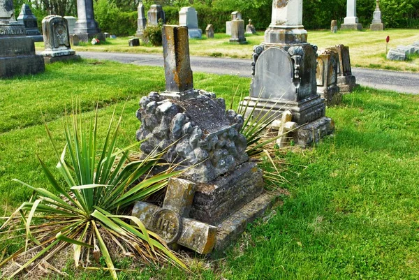 Musgo Muy Viejo Cubierto Estatua Rota Lápida Cementerio —  Fotos de Stock