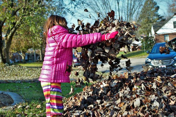 young girl playing in a pile of leaves