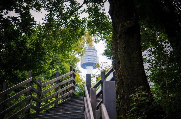 Ahşap merdivenli yeşil ormanın içinde Namsan Kulesi