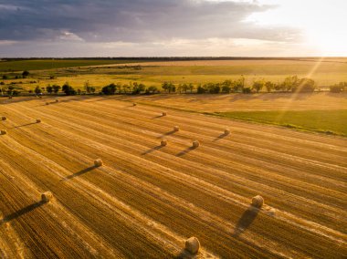 Samanlıklarla dolu güzel bir hava manzarası
