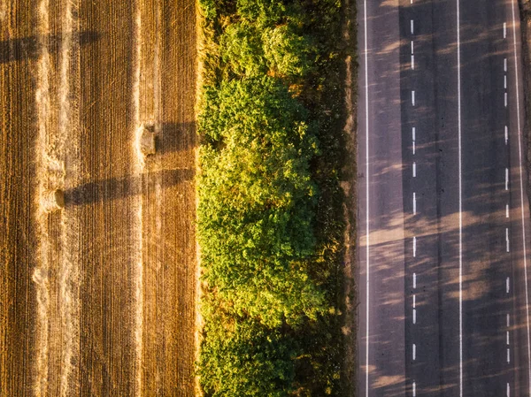 Top view on field and road from aerial drone