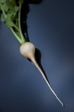 taze turp mix yaprak Bahçe, farklı tadı ile