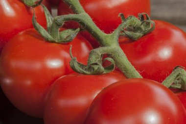 kırmızı domates sağlıklı taze Grup