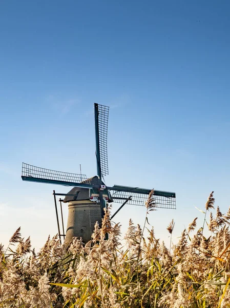 Historiska Väderkvarnen Kinderdijk Nederländerna Håller Vattnet Borta Från Jordbruksmark Royaltyfria Stockfoton