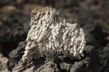 Eski seesalt kristallerinin benim Lanzarote, Kanarya Adaları engellemek