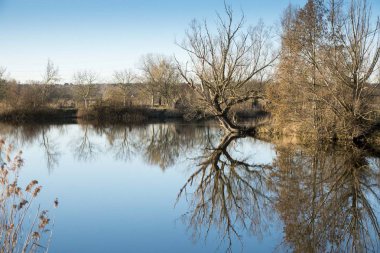 Oude Durme in Hamme Belgium