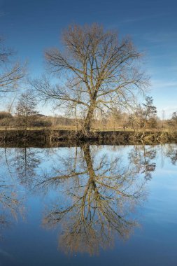 Oude Durme in Hamme Belgium