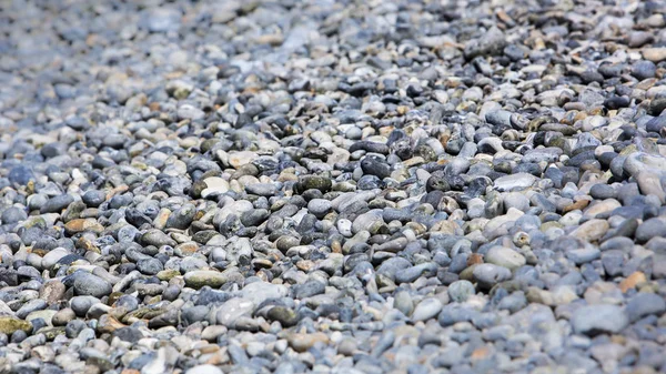 Normandiya, Fransa'da plaj çakıl taşları — Stok fotoğraf