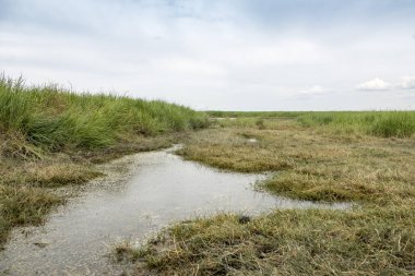 Belçika'da Saefthine rezerv boğuldu arazi