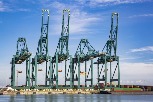 Puerto de Amberes, Bélgica-9junio-2019: grúas en Deurganckdock —  Fotos de Stock