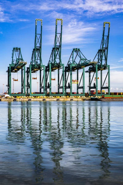 Puerto de Amberes, Bélgica-9junio-2019: grúas en Deurganckdock —  Fotos de Stock