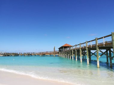 Bahamalar 'a seyahat. Muhteşem sahil, camsı mavi sular, palmiyeler, güneş... cennet.