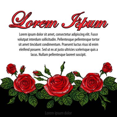 güzel kırmızı gülçerçeve, metin alanı ile vektör kare vektör illüstrasyon