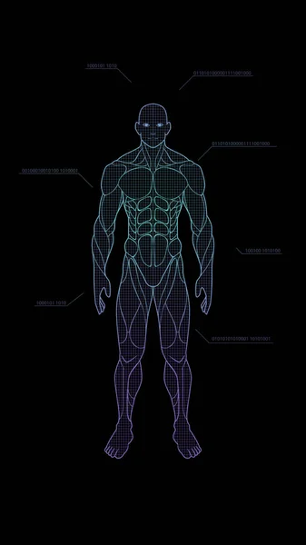 Forma Contorno Anatomia Corpo Humano Holograma Néon Projetado Fundo Preto — Vetor de Stock