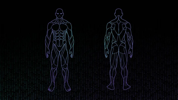 轮廓形状人体解剖霓虹灯全息图投射在黑色背景 科幻界面设计元素 矢量插图 — 图库矢量图片