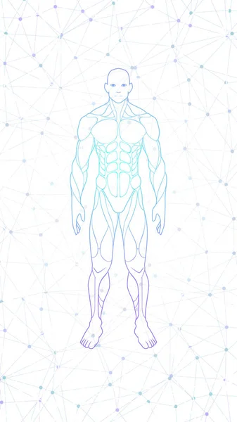 Obrysový Tvar Lidské Tělo Anatomie Neon Hologram Promítá Izolovaných Bílém — Stockový vektor