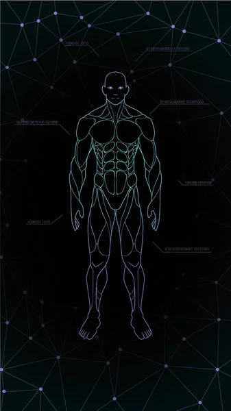 Kontur Kształt Ludzkiego Ciała Anatomia Neon Hologramem Przewidywane Czarnym Tle — Wektor stockowy