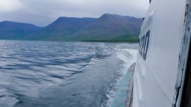 Vahşi dağlar. Kuzey deresi boyunca tekne gezisi. Göl, bulutlu gün