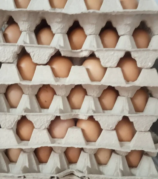brown eggs in a box, Eggs before hatchery