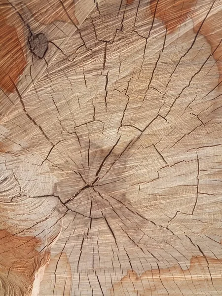 Κορμός Δέντρου Ίχνη Κοπής Πριονιού Και Ραγισμένου Φόντου — Φωτογραφία Αρχείου