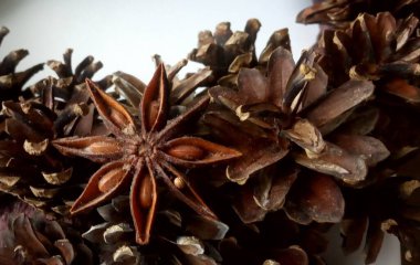 Çam kozalakları ve anason, Noel çelengi elementleri