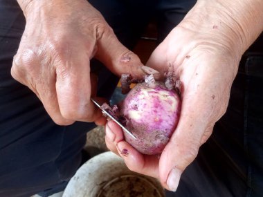 Patates soyarken, yaşlı bir adamın elleri.
