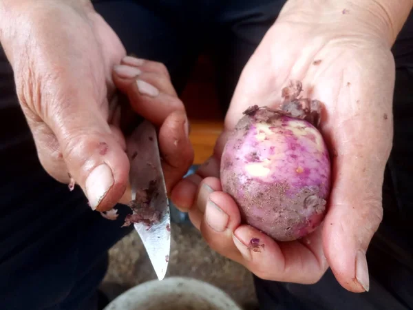 Patates Soyarken Yaşlı Bir Adamın Elleri — Stok fotoğraf
