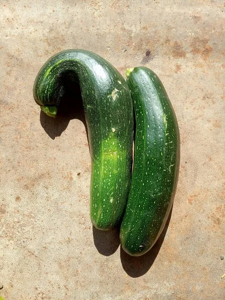 Πράσινη Ώριμη Συγκομιδή Κολοκυθιών Συγκομιδή Λαχανικών Ασυνήθιστο Σχήμα Πράσινων Κολοκυθιών — Φωτογραφία Αρχείου