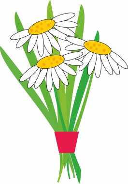 Güzel bir buket beyaz papatya çayı.