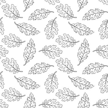 Anahat Meşe sonbahar desen bırakır. Meşe desen farklı karışık sonbahar yaprakları