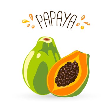 n Vektör çizimi. Papaya bütün meyve ve yarım dilimlenmiş. 