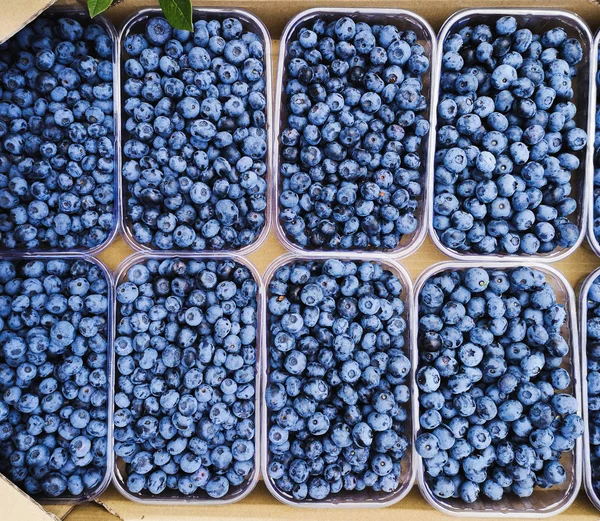 Fresh blueberries in plastic trays. Ripe blueberries in boxes. Berries of ripe blueberries on the market counter. Healing blueberry in plastic boxes. Top view. — Stock Photo, Image