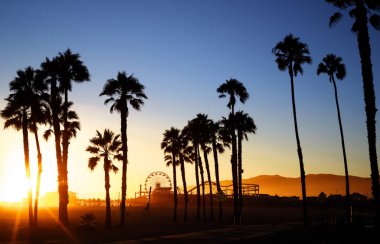 Palmiye ağaçları ile güzel gün batımı. Santa Monica beach, California, ABD 
