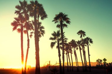 Palmiye ağaçları ile güzel gün batımı. Santa Monica beach, California, ABD