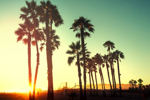 Wunderschöner Sonnenuntergang Zwischen Den Palmen Santa Monica Beach Kalifornien Vereinigte — Stockfoto