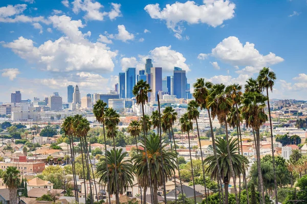Beautiful Cloudy Day Los Angeles Downtown Skyline Palm Trees Foreground — Stock Photo, Image