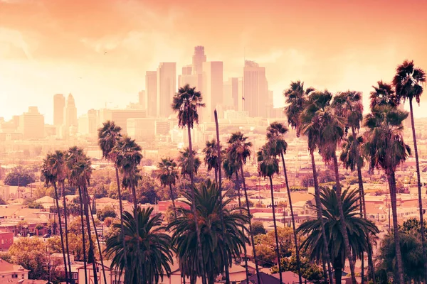 Wunderschöner Sonnenuntergang Durch Die Palmen Los Angeles Kalifornien — Stockfoto