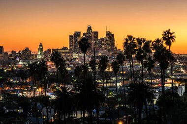 Palmiye ağaçları, Los Angeles, California ile güzel gün batımı