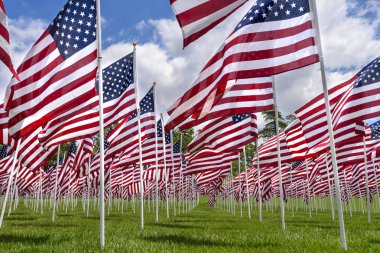 Yeşil çimenler üzerinde Amerikan bayrakları
