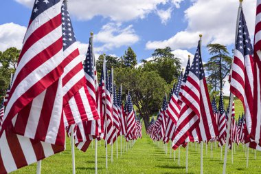 Yeşil çimenler üzerinde Amerikan bayrakları