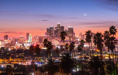 Palmiye ağaçları, Los Angeles, California ile güzel gün batımı