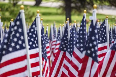 Yeşil çimenler üzerinde Amerikan bayrakları