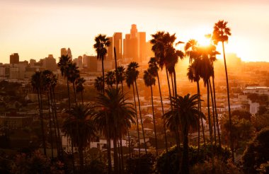 Palmiye ağaçları, Los Angeles, California ile güzel gün batımı