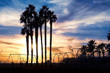 Palmiye ağaçlarının arasında güzel gün batımı. Santa Monica plajı, Cal